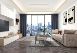 首款进口家装设计软件问世,打造 欧洲进口家居产品联盟